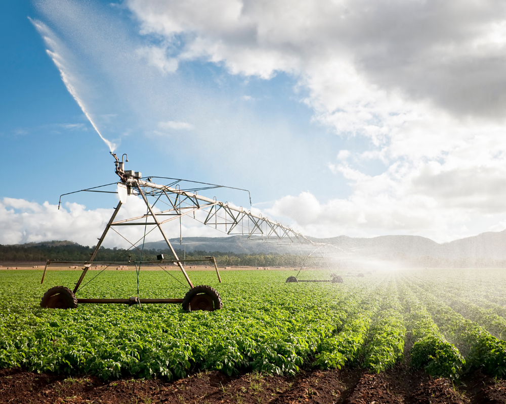 Agriculture Blog Tri Sure