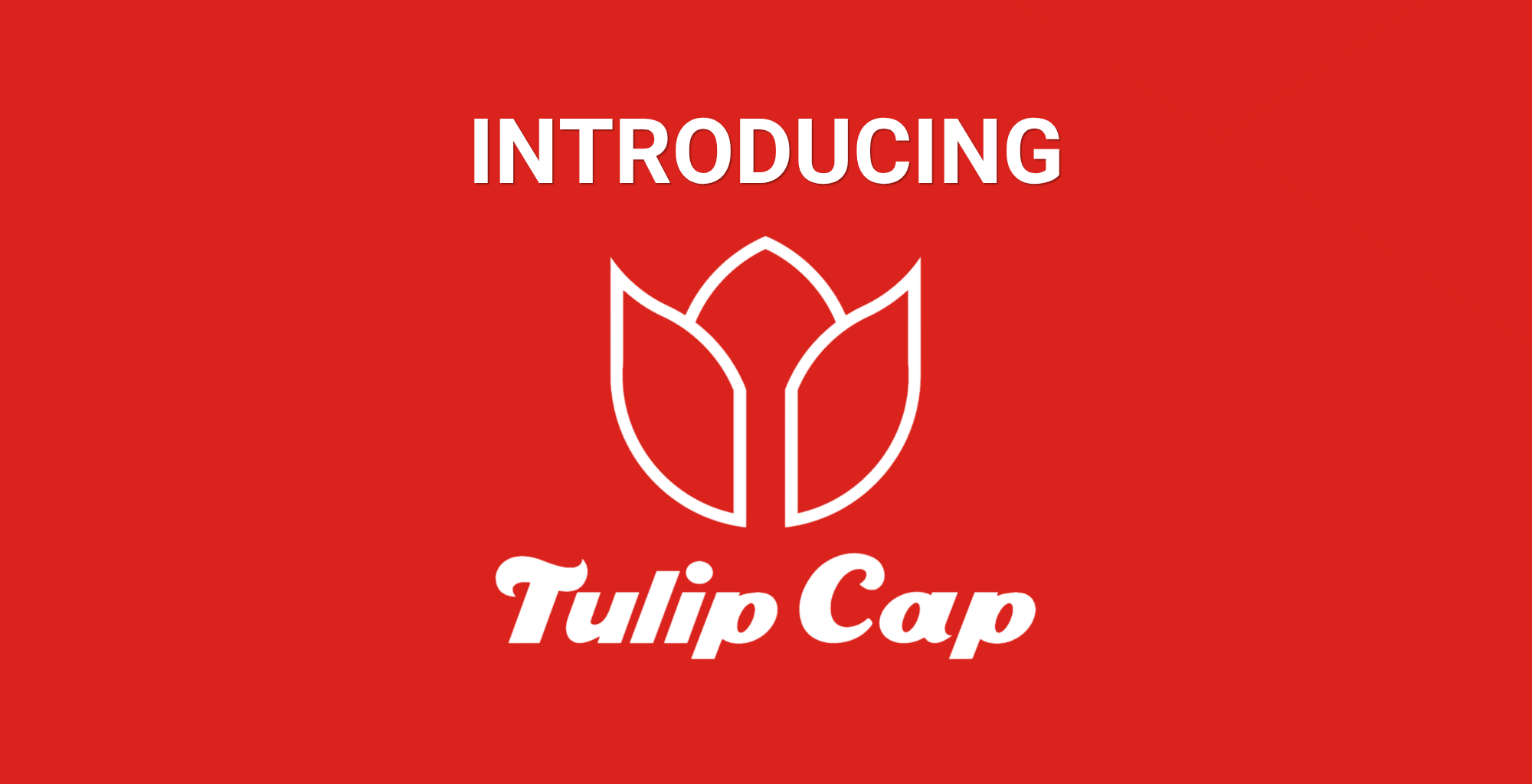 Tulip Cap Blog