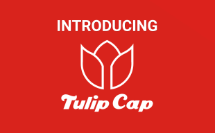 Tulip Cap Blog